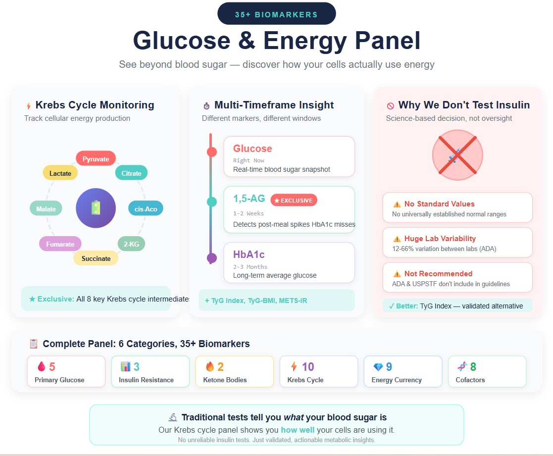 What's in HealthieOne's Glucose & Energy Panel and Why We Don't Test Insulin