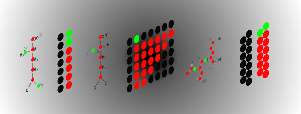 HealthieOne Lead Scientist's Groundbreaking Cancer Monitor Marker at Johns Hopkins