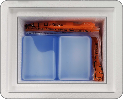 Place sample bag in Styrofoam box