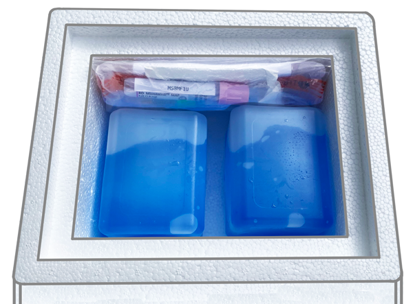 Place sample bag in Styrofoam box